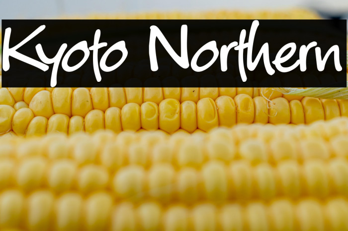 Kyoto Northern Example 1