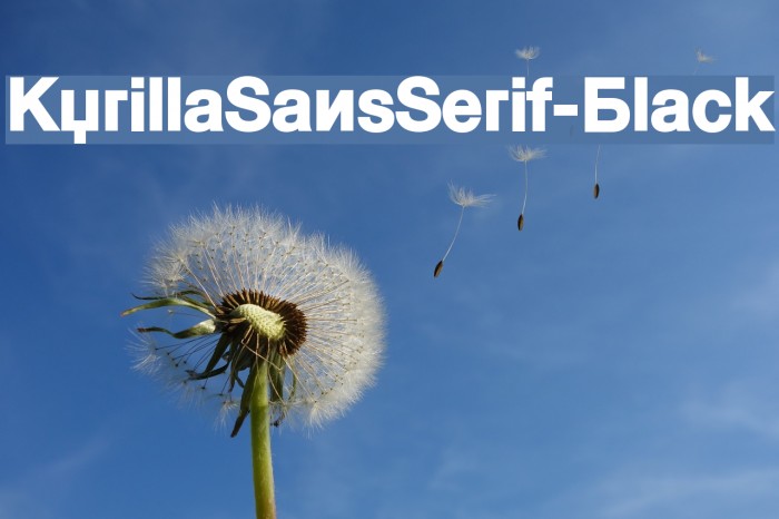 KyrillaSansSerif-Black Font examples