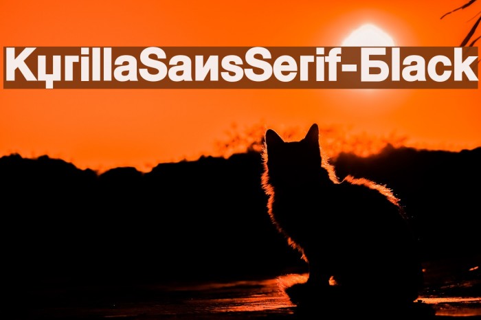 KyrillaSansSerif-Black Font examples