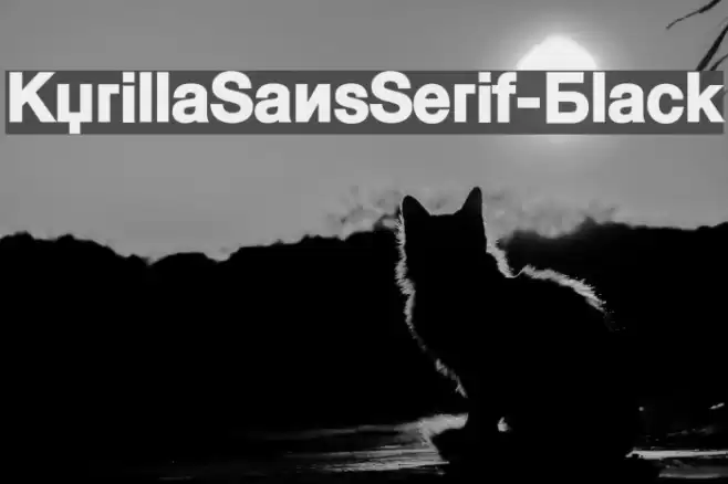 KyrillaSansSerif-Black Fuentes examples