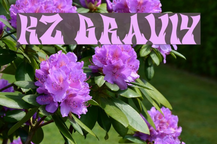 KZ GRAVItY Font examples