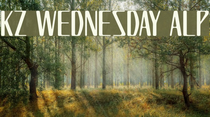 KZ WEDNESDAY ALP Font examples