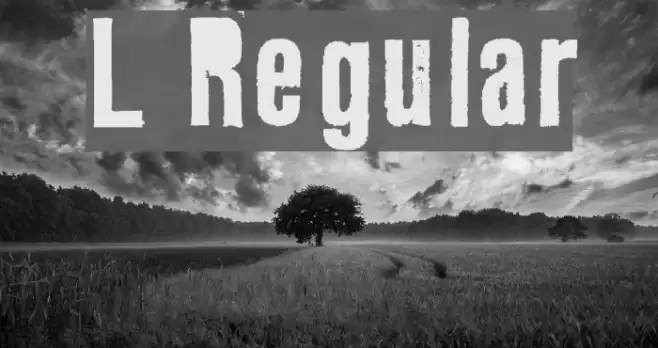 L Regular Шрифта examples