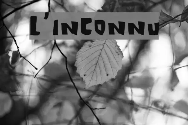 L'Inconnu Font examples