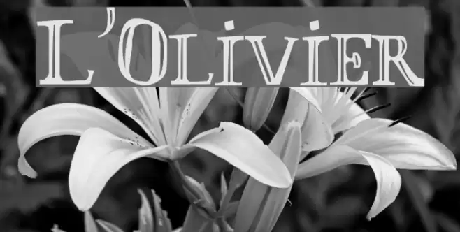 L'Olivier Font examples