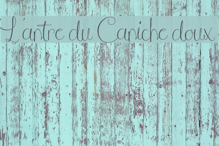 L'antre du Caniche doux Font examples