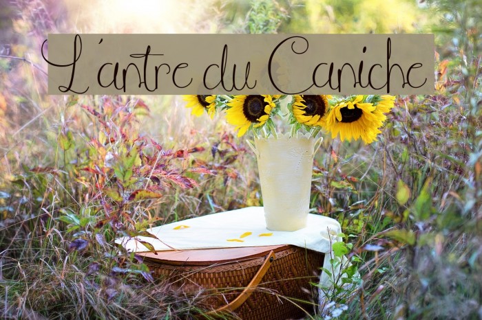 L'antre du Caniche Font examples
