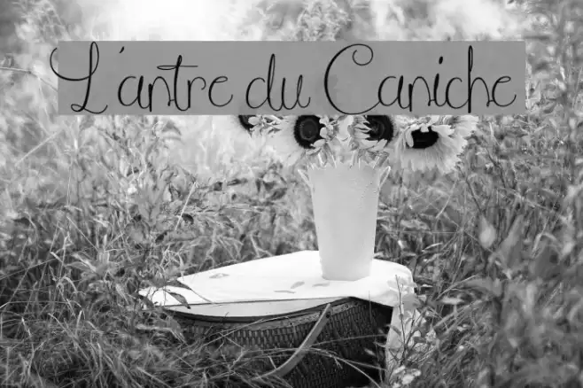L'antre du Caniche Example 1