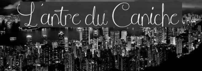 L'antre du Caniche Example 2
