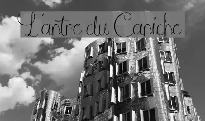 L'antre du Caniche Example 3