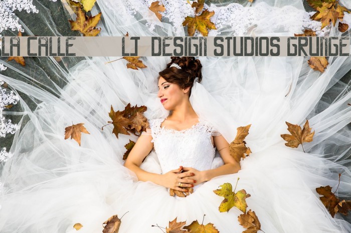 LA CALLE 6 - LJ-Design Studios Grunge Caratteri examples