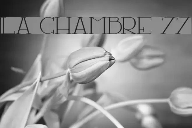 LA CHAMBRE 77 Font examples