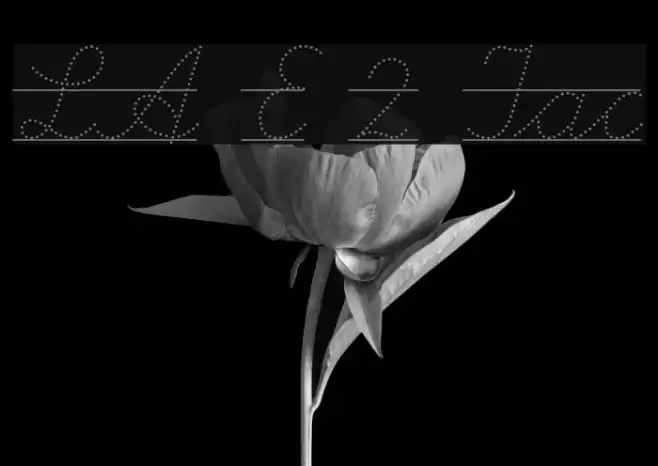 LA El 2 Italic Font examples