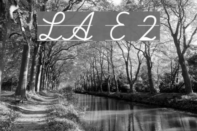 LA El 2 Polices examples