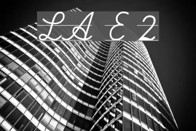 LA El 2 Polices examples