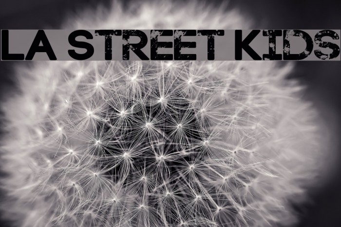 LA Street Kids Font examples