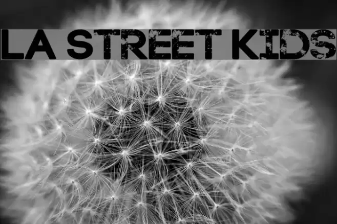 LA Street Kids Font examples