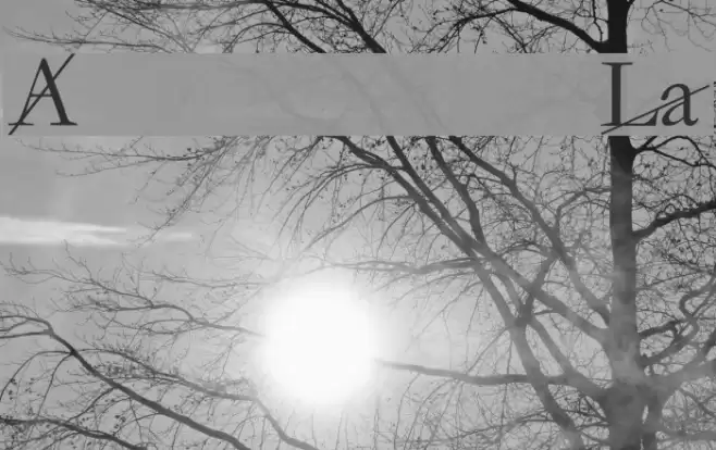 LACAN फ़ॉन्ट examples