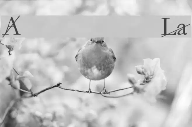 LACAN फ़ॉन्ट examples