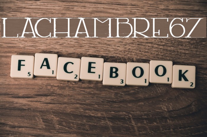 LACHAMBRE67 Example 1