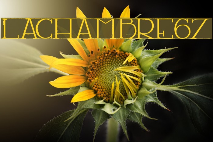 LACHAMBRE67 Example 2