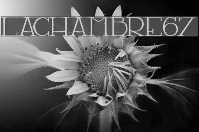 LACHAMBRE67 Font examples