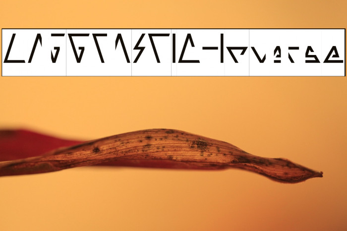 LAGGTASTIC-Inverse Example 1