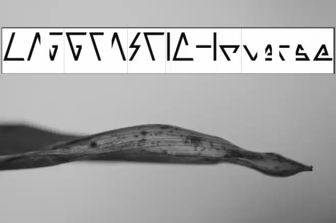 LAGGTASTIC-Inverse Font examples