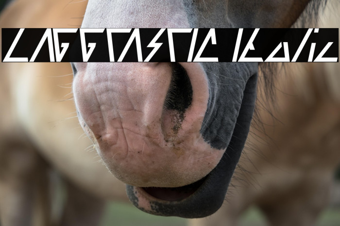 LAGGTASTIC Italic Example 3