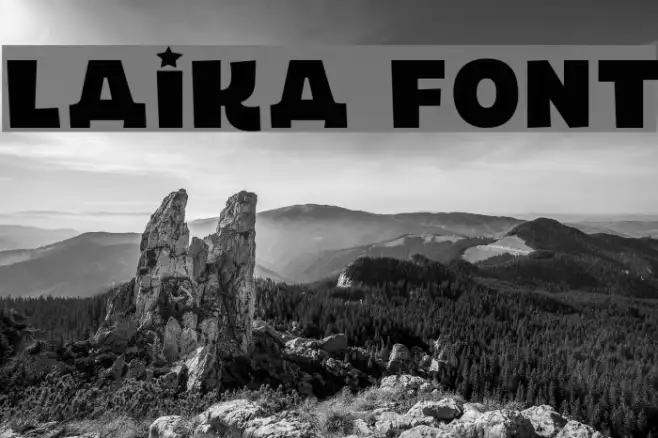 LAIKA Example 2