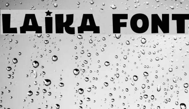LAIKA Example 3