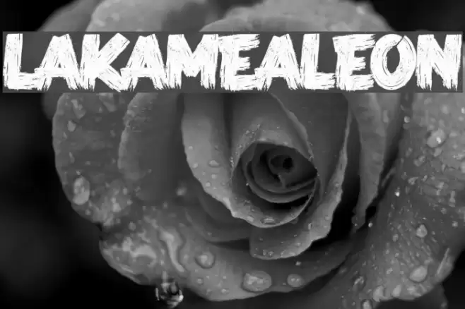 LAKAMEALEON Font examples