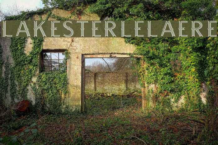 LAKESTERINLINELAYER3DEMO Font examples