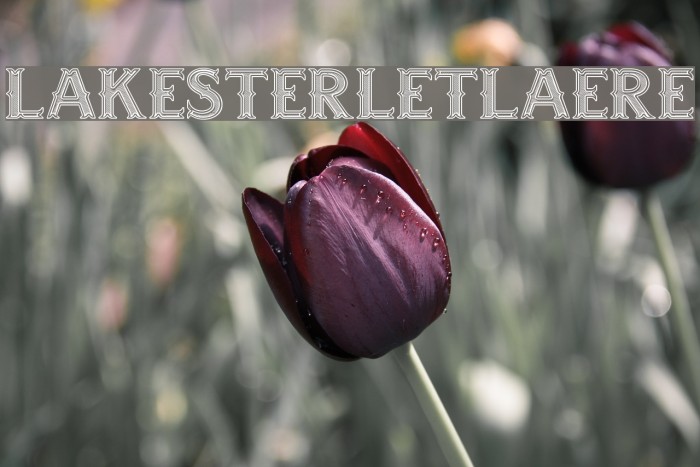 LAKESTERINLINEOPTION2LAYER3DEMO Font examples