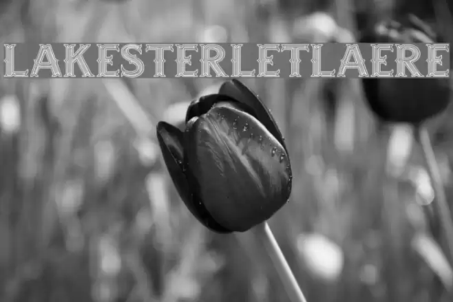 LAKESTERINLINEOPTION2LAYER3DEMO Font examples