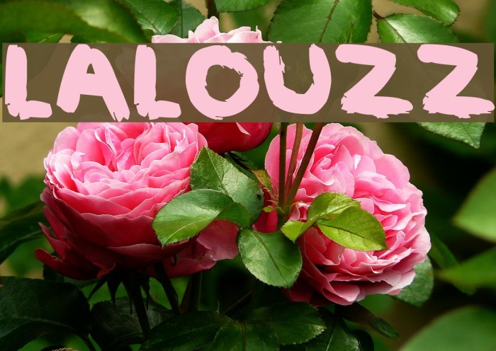 LALOUZZ Font examples