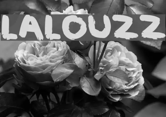 LALOUZZ Example 3