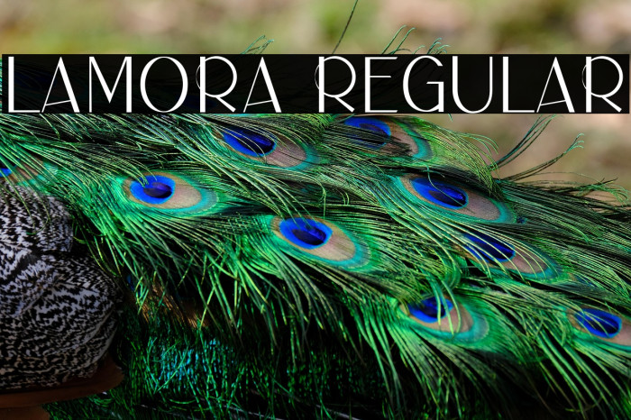 LAMORA Regular Example 1