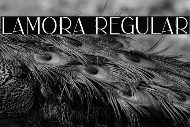LAMORA Regular Font examples