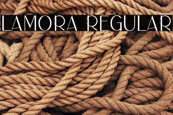 LAMORA Regular Example 3