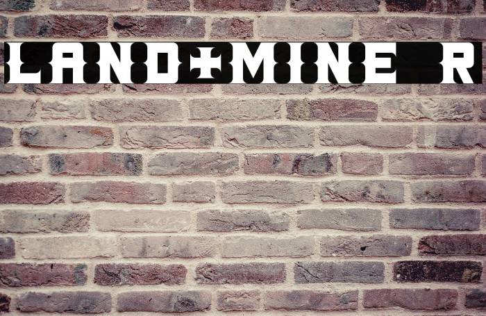 LAND+MINE Regular Example 2