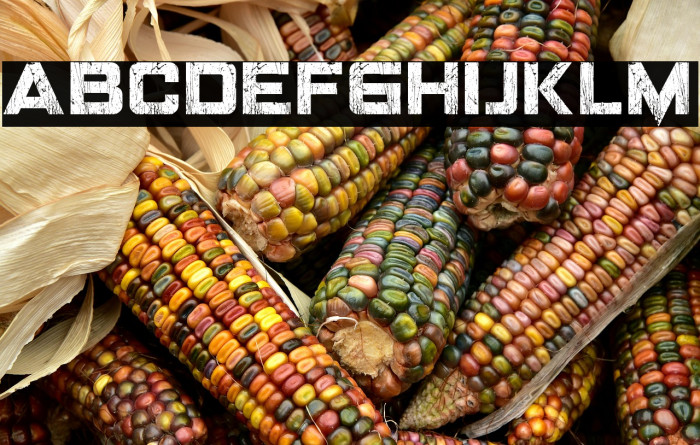 LANDEPZ GRNG Example 2