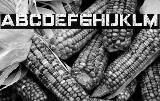 LANDEPZ GRNG Font examples