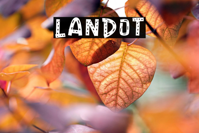 LANDOT Example 1