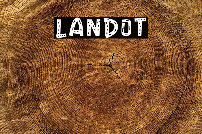 LANDOT Example 2