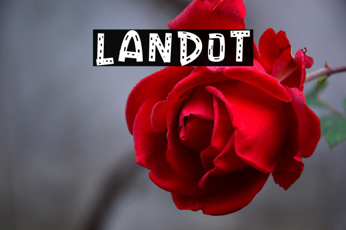 LANDOT Example 3