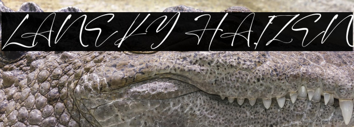 LANEKY HAIZEN Example 1