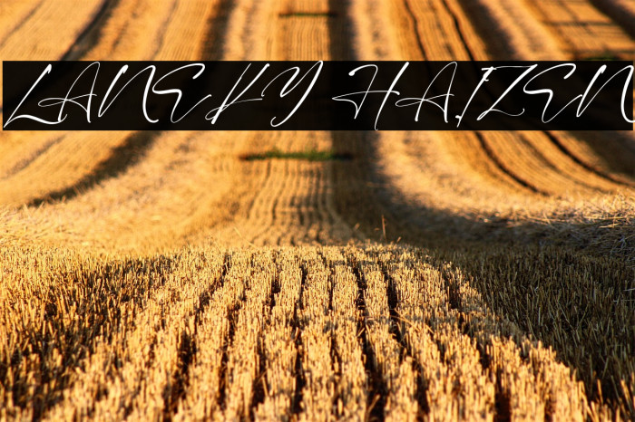 LANEKY HAIZEN Example 2