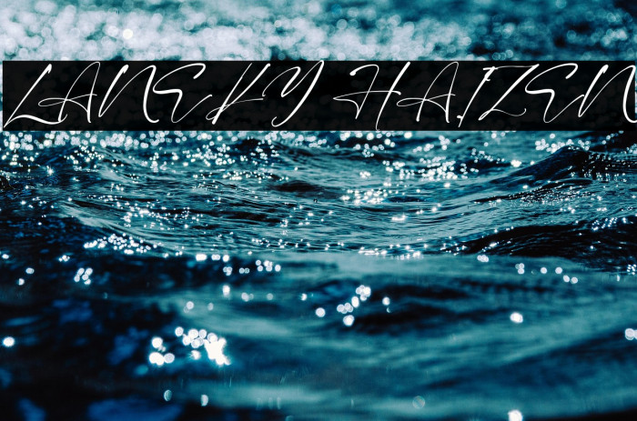 LANEKY HAIZEN Example 3