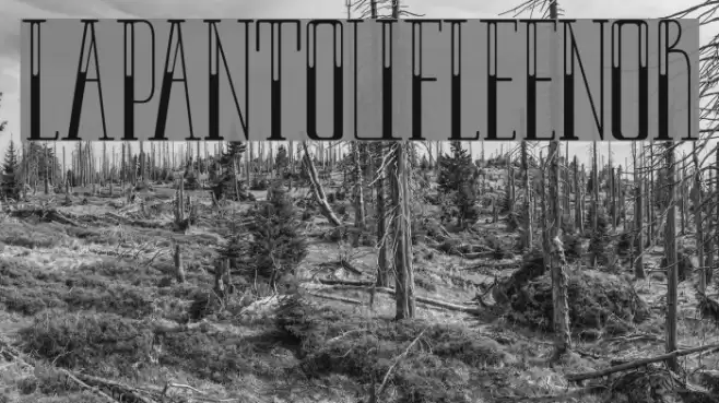 LAPANTOUFLEENOR Font examples